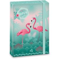Ars Una Box na zošity Pink Flamingo A5