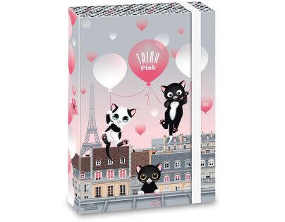 Ars Una Box na zošity Think Pink 20 A4