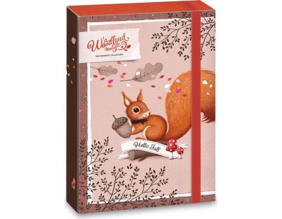 Ars Una Box na zošity Veverička Woodland Magic A5
