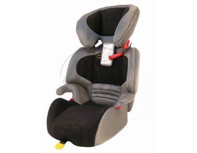 Autosedačka Raffaello Bellelli černostříbrná 9-36kg