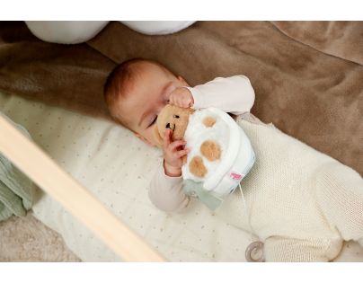 BABY born for babies Spievajúci Teddy