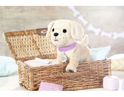 Baby Born Môj veselý psík s prepravným boxom II