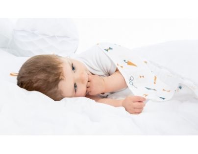Babymoov Mušelínová osuška Dandy