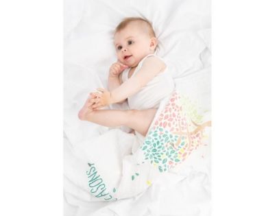 Babymoov Bavlnené mušelínové plienky 4 Seasons Set 3ks