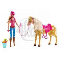 Barbie Barbie a Tawny (MATTEL BJX85) 2