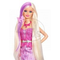 Barbie Dlouhovláska s doplňky 2