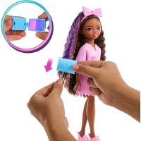 Barbie Dream Besties bábika s doplnkami - Brooklyn