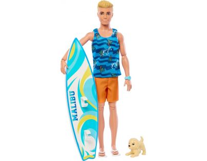 Barbie Ken Surfer s doplnkami