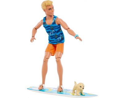 Barbie Ken Surfer s doplnkami