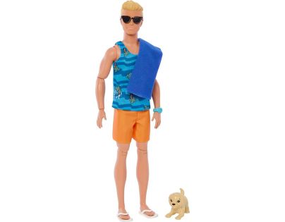 Barbie Ken Surfer s doplnkami