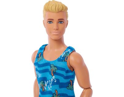 Barbie Ken Surfer s doplnkami