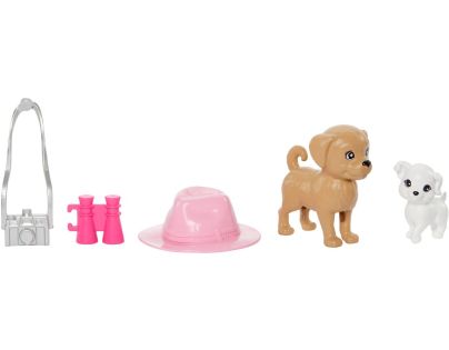 Barbie Bábika a Stacie dvojbalenie