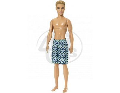 Barbie Plážový Ken (Mattel CFF16)