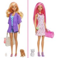 Barbie sa zvieratkom color reveal miešanka 5