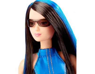 Barbie Tajný team - DHF08 Renee