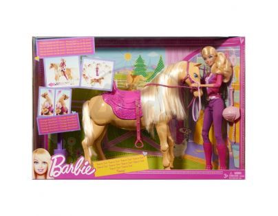 MATTEL Barbie - Barbie a chodící kůň X2630