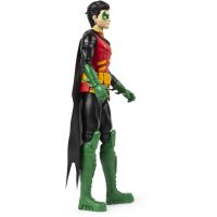 Spin Master Batman figúrky hrdinov 30 cm Robin 3