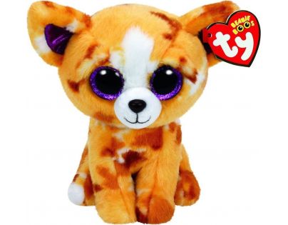 Beanie Boos PABLO čivava 15 cm