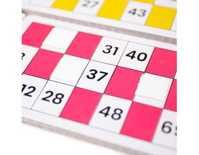 Bigjigs Toys Tradičné Bingo