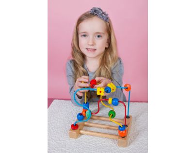 Bino 84160 Motorický labyrint Lienka