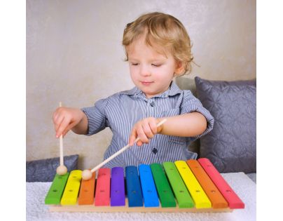 Bino Detský hudobný nástroj Xylofón 12 tónov