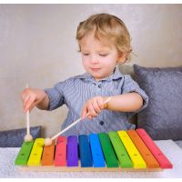 Bino Detský hudobný nástroj Xylofón 12 tónov 2