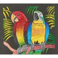 Blendy pens Colouring Book Wildlife 3