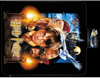 Bluesky Harry Potter 20 rokov Pikniková deka