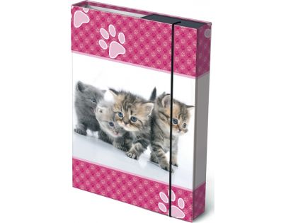 Bonaparte Box na sešity A4 Koťátka