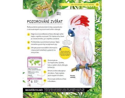 Bookmedia Divoká zvířata CZ verzia
