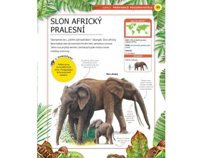 Bookmedia Divoká zvířata CZ verzia