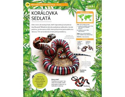 Bookmedia Divoká zvířata CZ verzia