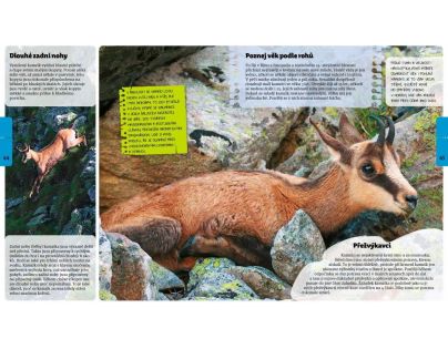 Bookmedia Zvířata