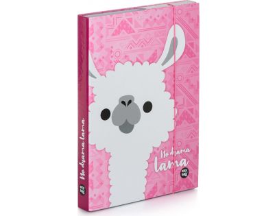 Karton P + P Box na zošity A4 Lama