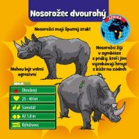 Brainbox CZ zvieratá 3