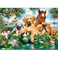 Castorland Puzzle 200 dielikov premium Zvierací partia