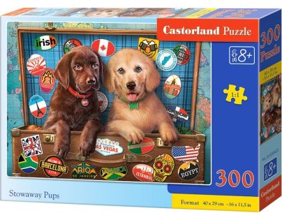 Castorland Puzzle šteňata labradora v kufri 300 dielikov
