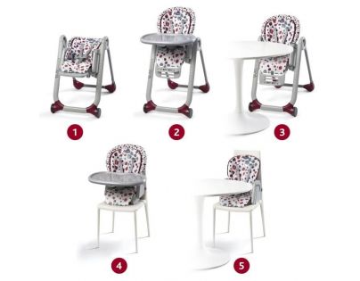 Chicco Polly Progres 5 Anthracite