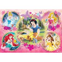 Clementoni 20134 Princezné glitter 104 ks 2