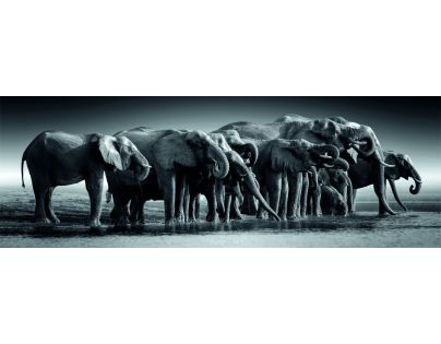 Clementoni puzzle 1000 Panorama Stádo obrov