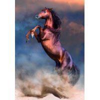 Clementoni puzzle 500 Divoký červený žrebec 2