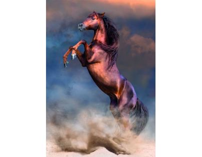 Clementoni puzzle 500 Divoký červený žrebec