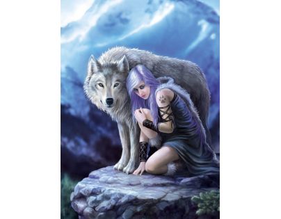 Clementoni Puzzle Anne Stokes Ochranca 1000 dielikov