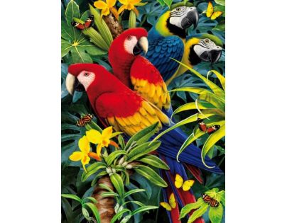 Clementoni 39188 - Puzzle Magic 3D 1000, Papoušci
