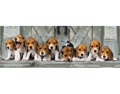 Clementoni 39076 - Puzzle Panorama 1000, Bíglové