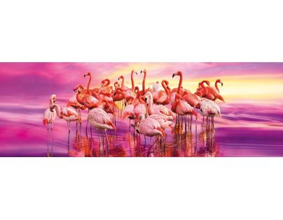 Clementoni Puzzle Panorama Plameniaky 1000 dielikov