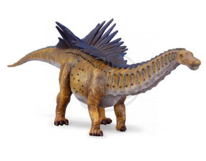 Collecta Augustinia