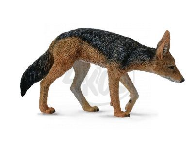 Collecta Šakal čabrakový