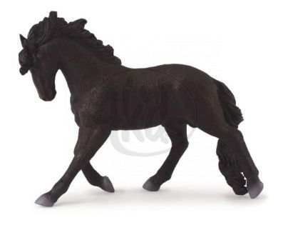 Andaluský hřebec - Figurky Collecta
