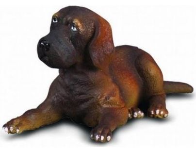 Collecta Dánská doga štěně
